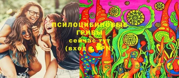 МДПВ Анива
