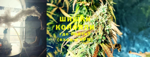 мяу мяу мука Алагир